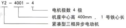 YR系列(H355-1000)高压YR4502-6三相异步电机西安西玛电机型号说明